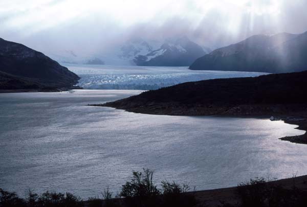 Perrito Moreno ARG