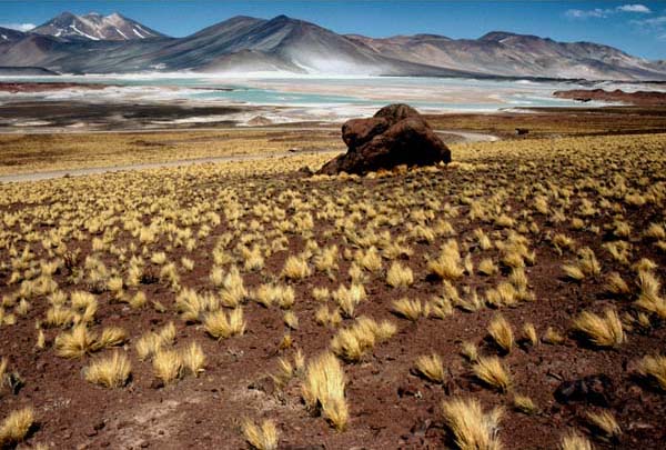 Sico- Pass Chile